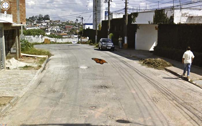 Google Map Kamerasına Yansıyan İlginç Anlar