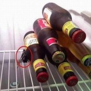 Buzdolabında Şişe Tutucu